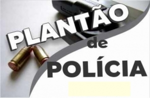 PLANTÃO POLICIAL 29