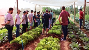 Dia de Horticultura 2019 Setrem