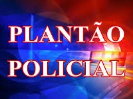 PLANTÃO POLICIAL 10